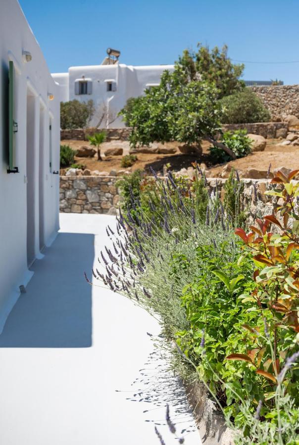 Dioni Villa Mykonos Paraga  Exterior photo